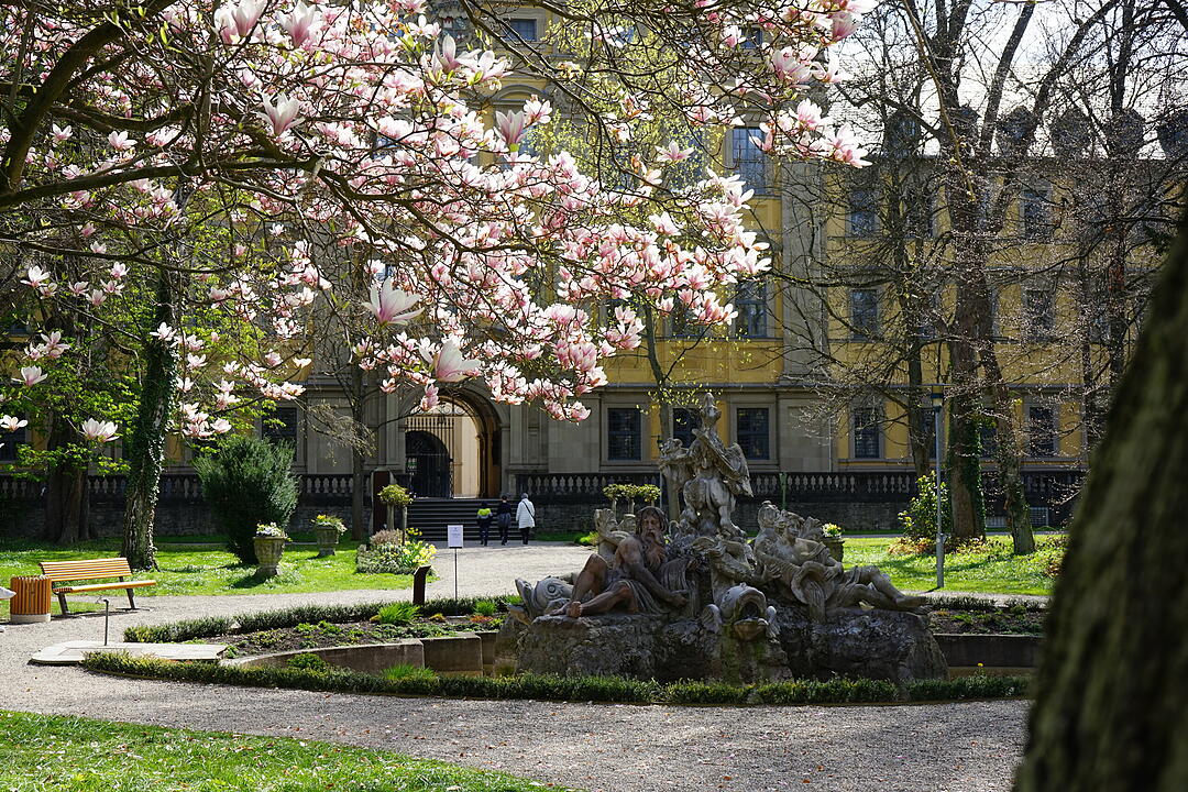 Blühendes Würzburg