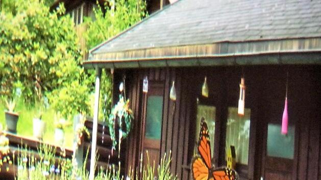 Schon auf einem Quadratmeter kann man eine Bl&uuml;hfl&auml;che schaffen. Foto: Werner Rei&szlig;aus