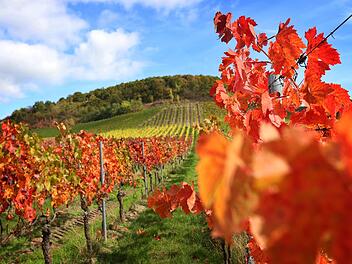 Herbstwetter in Franken: Der goldene Oktober bleibt uns noch ein wenig erhalten