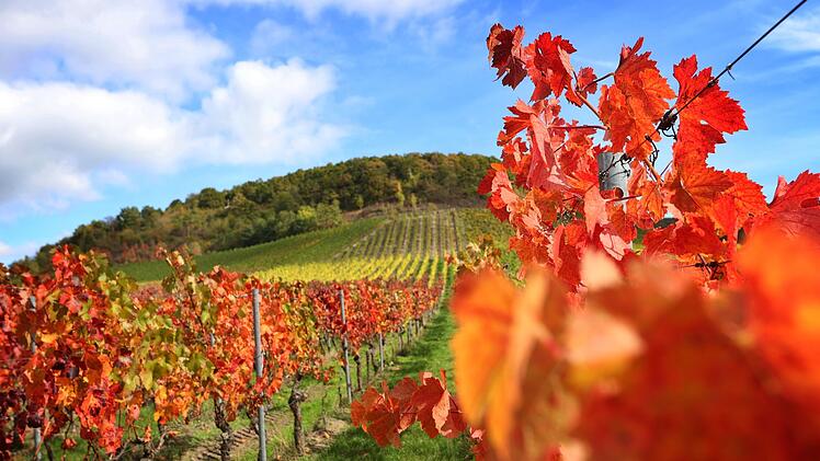 Herbstwetter in Franken: Der goldene Oktober bleibt uns noch ein wenig erhalten