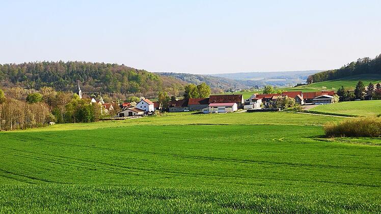 Bei Fabrikschleichach im Wald sehen die Geologen Chancen, bei einer Probebohrung auf gutes Trinkwasser zu stoßen. Sabine Weinbeer