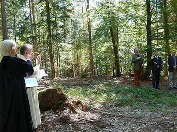 Einen Friedwald gibt es bereits in der Nähe von Gersbach (Einweihung war Anfang Oktober). Auch auf immer mehr Friedhöfen werden Flächen für die immer mehr nachgefragten Baumbestattungen eingerichtet. Foto: Lothar Weidner