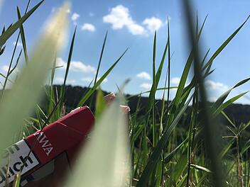 Einfach so mal weggeworfen - und im Gras gelandet. Da gehört die Packung wirklich nicht hin!.Foto: Anette Schreiber