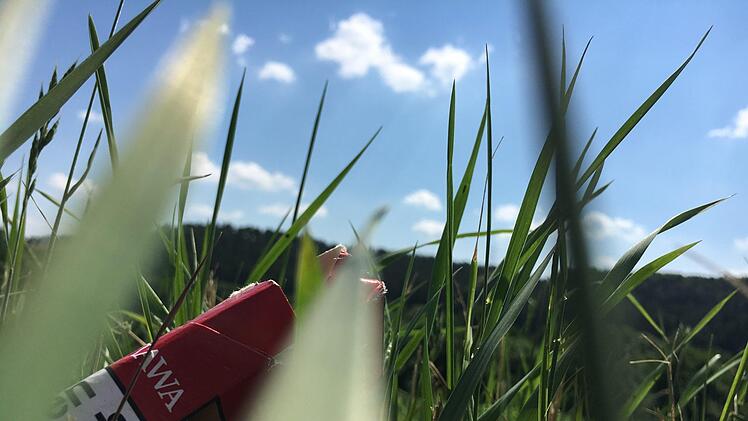Einfach so mal weggeworfen - und im Gras gelandet. Da gehört die Packung wirklich nicht hin!.Foto: Anette Schreiber
