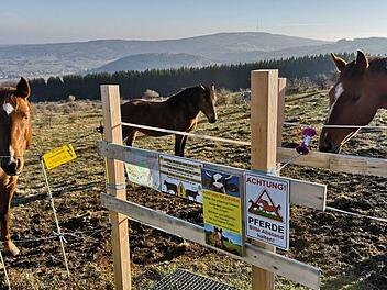 Nicht zu schmal, aber auch nicht zu breit darf der Durchgang zwischen den Gattern am Himmeldunkberg sein.  Das sorgt für Diskussionen. Foto: Marion Eckert
