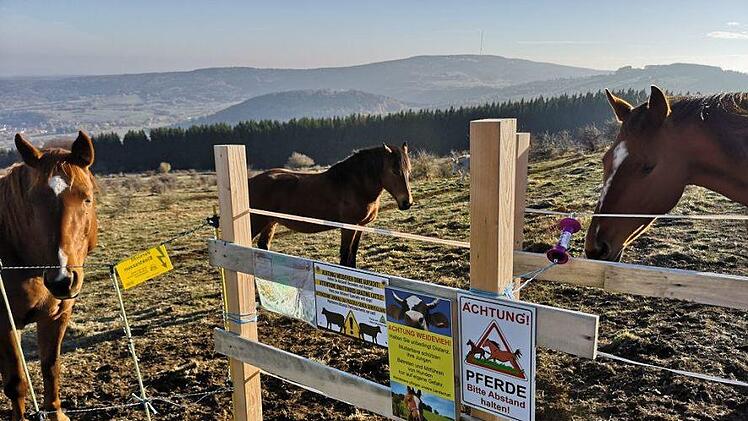 Nicht zu schmal, aber auch nicht zu breit darf der Durchgang zwischen den Gattern am Himmeldunkberg sein.  Das sorgt für Diskussionen. Foto: Marion Eckert