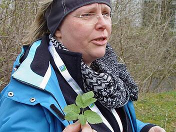 Die staatlich geprüfte Kräuterführerin Jutta Vogt hält Giersch in der Hand.  Foto: Brigitta Kempe-Wolf