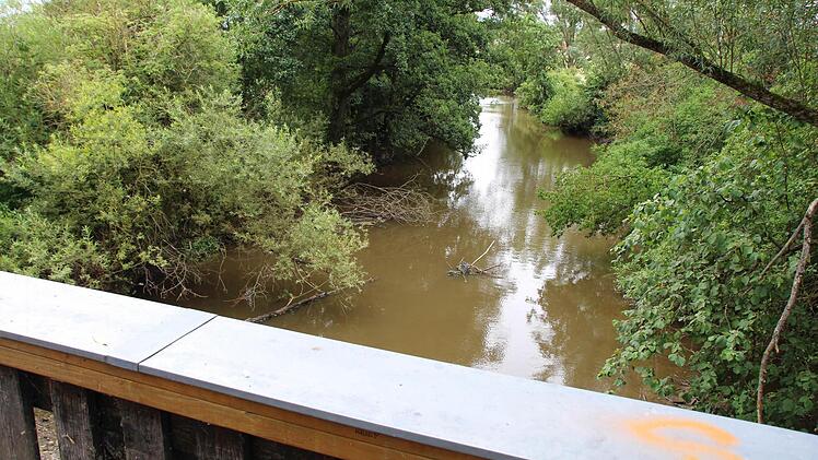 Über die Aisch in diesem Bereich östlich der hölzernen Fußgängerbrücke würde ein zweiter Übergang verlaufen.  Fotos: Andreas Dorsch
