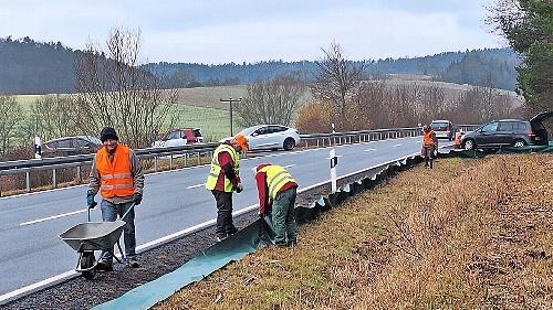 Ehrenamtliche bauen den Amphibienschutzzaun entlang der Stra&szlig;e auf.