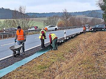 Ehrenamtliche bauen den Amphibienschutzzaun entlang der Straße auf.