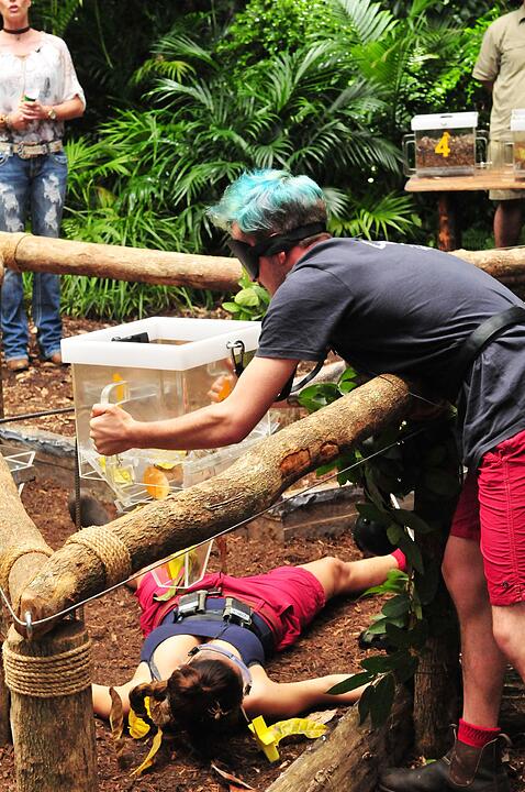 Dschungelcamp 2018: Matthias Mangiapane bekommt im Camp einen Heiratsantrag