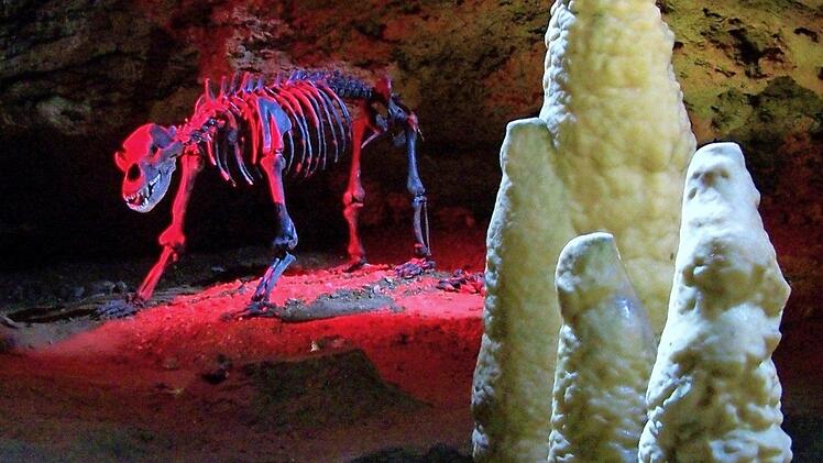 Nicht nur für Kinder sind die ausgeklügelte Beleuchtung und die spektakulären Impressionen wie der Höhlenbär in der Teufelshöhle sehr sehenswert.