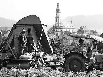 Heinz Steinl (links) half seinem Bruder Anton, wenn er mit der Bohnenerntemaschine unterwegs war. Fotos: privat
