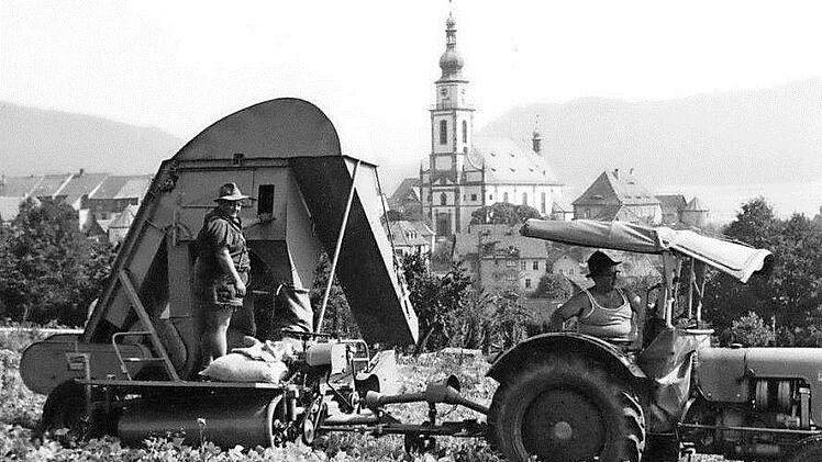 Heinz Steinl (links) half seinem Bruder Anton, wenn er mit der Bohnenerntemaschine unterwegs war. Fotos: privat