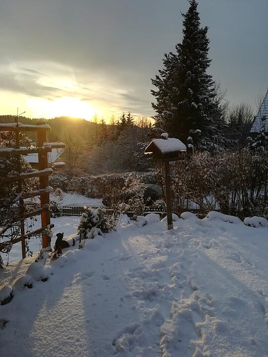 Die schönsten Winterfotos aus Bayreuth und Umgebung