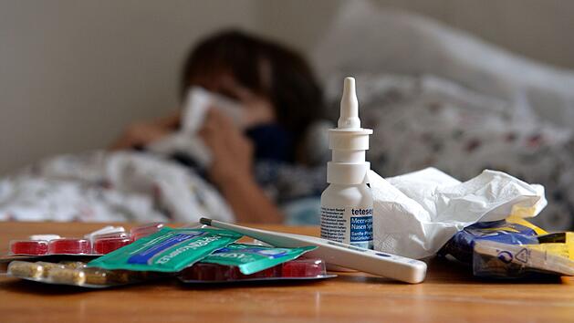 L&auml;stige "Sommergrippe": Da kommst sie her - und so werde ich sie wieder los