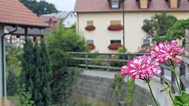 In Döringstadt blühen die Blumen auch am Bachlauf.
