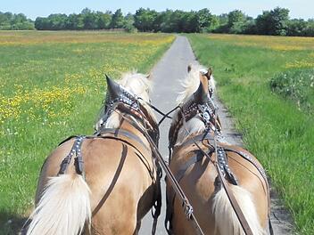 Mit der Pferdekutsche können Einheimische und Touristen die Weihergegend erkunden. Foto: privat
