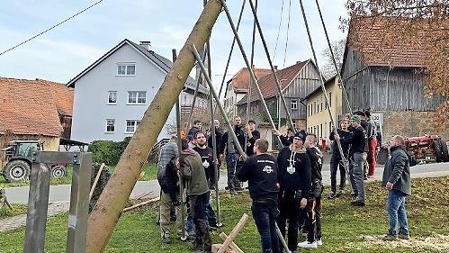 Die W&uuml;stensteiner Kirchweihburschen stellen den 25 Meter hohen Baum auf.