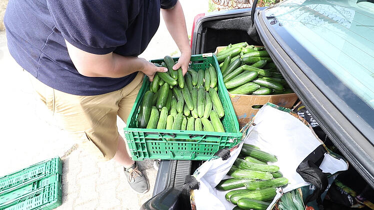 Heftige Emotionen nach Gurkenvernichtung: