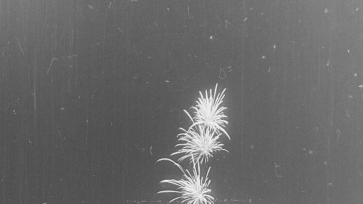 Feuerwerk (1954). Foto: Stadtarchiv Kronach