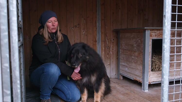 Die Vermittlung von H&uuml;tehund-Mix Jimmy war in der letzten Staffel gescheitert.