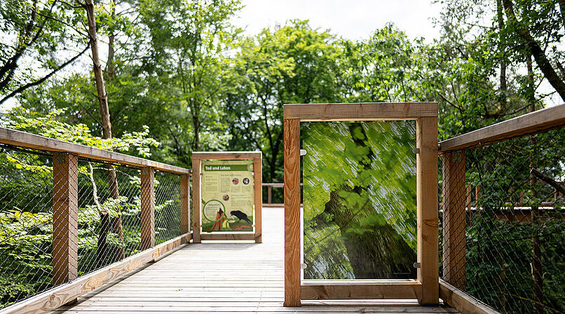 Tiergarten N&uuml;rnberg lockt zum Saisonstart mit besonderem Programm