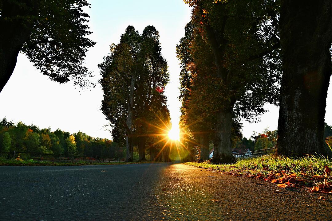 Herbst bei Schloss Greifenstein