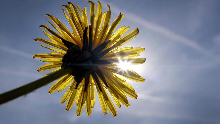 Symbolbild Wetter Foto: dpa