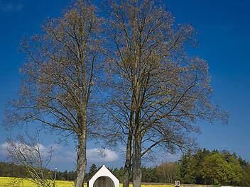 Der Bibelweglauf führt an den 14 Stelen vorbei, die 2010 aufgestellt wurden.Wolfgang Knorr