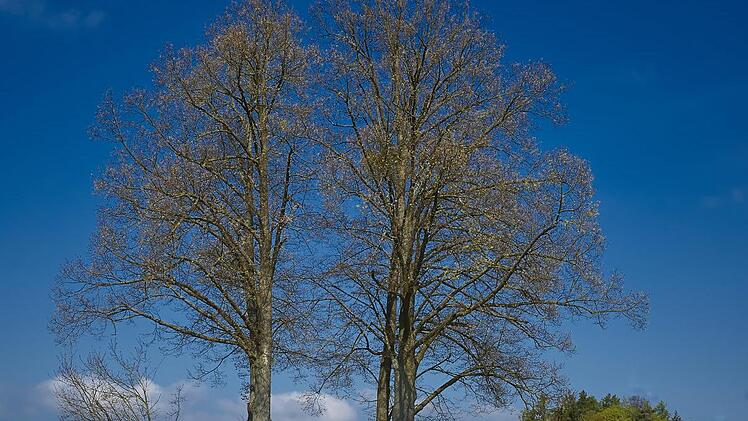 Der Bibelweglauf führt an den 14 Stelen vorbei, die 2010 aufgestellt wurden.Wolfgang Knorr