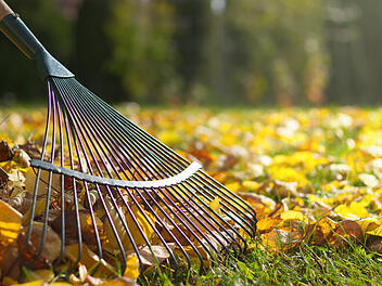 Laub aufsammeln im Herbst - ist es überhaupt nötig?