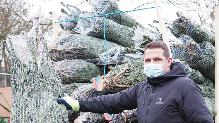 Die Bäume werden auf Paletten aus Dänemark geliefert. Foto: Cindy Dötschel
