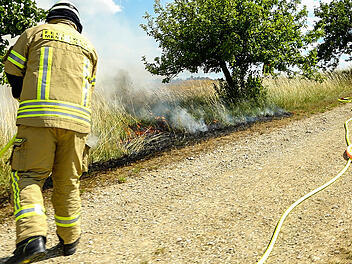 Tatverd&auml;chtiger nach Wiesenbrand in Ha&szlig;furt in Untersuchungshaft