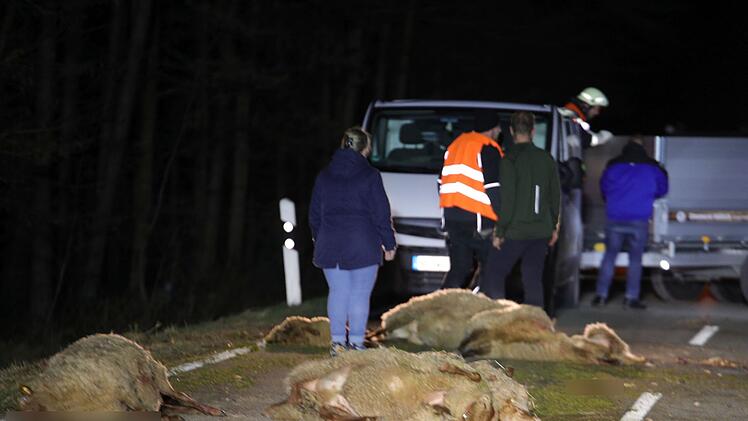 14 tote Schafe bei Unfall bei Dietenhofen: Auto erfasst Herde