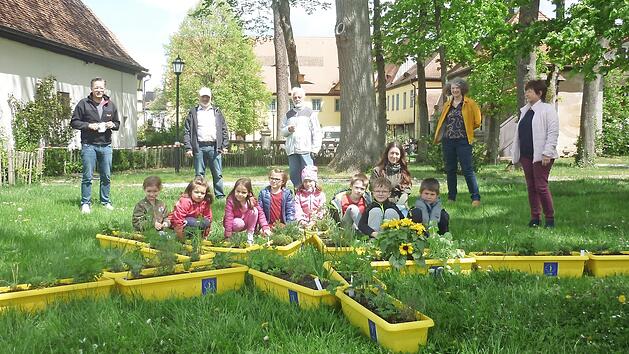 Kinder aus sechs Adelsdorfer Kitas bepflanzten den &bdquo;gelben Europastern&ldquo; mit Gew&auml;chsen, die Bienen gern besuchen.