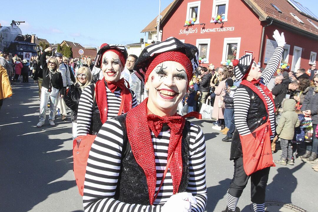 Fasching 2025 in Stadtsteinach!