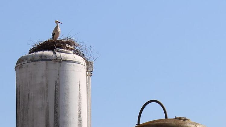 Aber der Storch hat ein neues Heim: das Silo auf dem Gelände des Bauhofs Mühlhausen. Foto: Evi Seeger