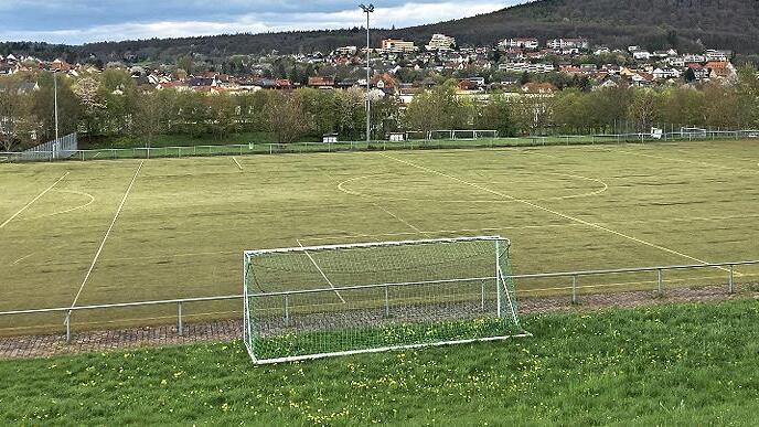 Der Kunstrasenplatz des SV Garitz ist in schlechtem Zustand und teuer im Unterhalt.