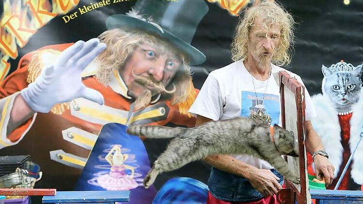 Katze Prinzess ist auf dem Sprung - durch eine Zeitungsseite hin zum Wienerchen. Zirkusdirektor Dieter Schetz ist stolz auf seine Tiere, die ohne Zwang mit ihm arbeiten und zusammenleben.  Fotos: Matthias Hoch