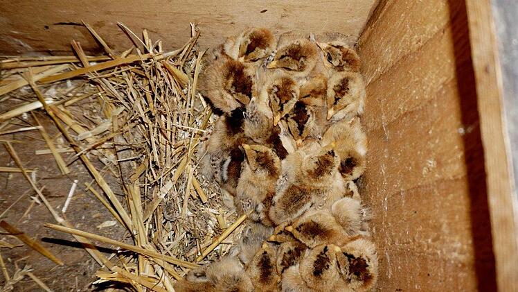 Foto: Richard Sänger