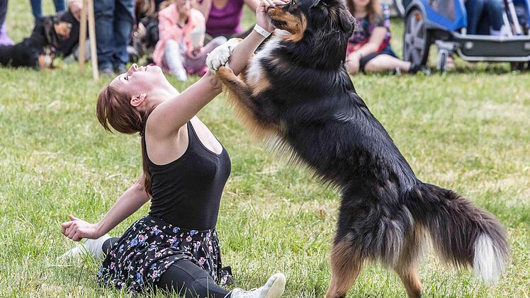 Das Hundeballett.Foto: Rudi Hein