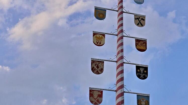 Der Zunftbaum neben dem Rathaus gibt Zeugnis über die vielfältigen Berufe in der Marktgemeinde Maroldsweisach.Will