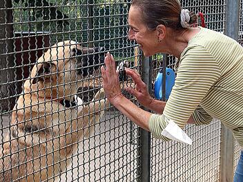 Ursula Boehm, die Leiterin des Tierheims Wannigsmühle, freut sich, dass wenigstens das Hundehaus fertig ist. Foto: Dieter Britz