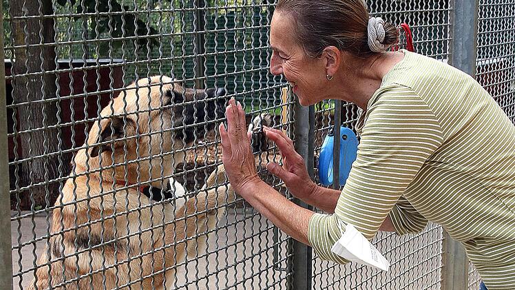 Ursula Boehm, die Leiterin des Tierheims Wannigsmühle, freut sich, dass wenigstens das Hundehaus fertig ist. Foto: Dieter Britz
