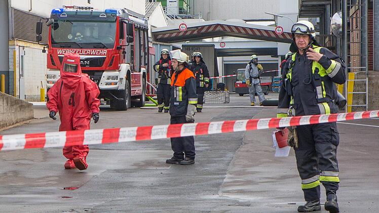 Foto: NEWS5 / Grundmann