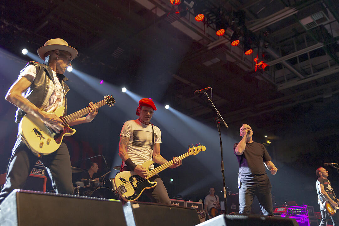 Punk in Drublic