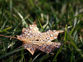 Regen und Wärme stehen den Franken am Wochenende bevor.