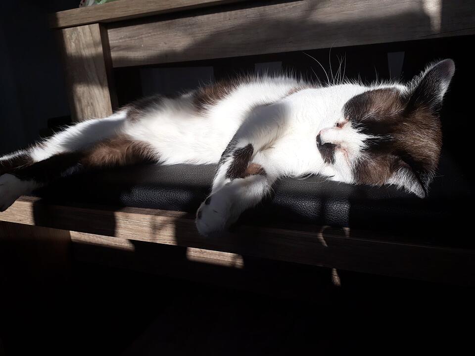 Die schönsten Frühlingsfotos aus Coburg und Umgebung