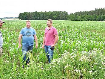 Thomas Knoch, Marius Steiner und Matthias Kempf (von links) stehen auf dem Acker, auf dem im Hintergrund das Güllebecken gebaut werden soll.